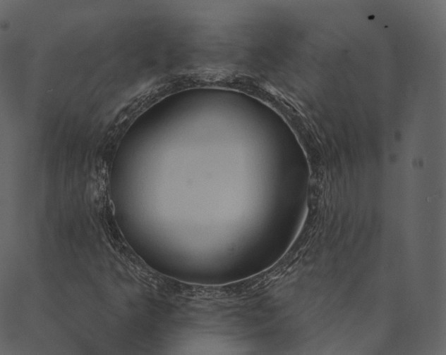 X0000089661349200707121148