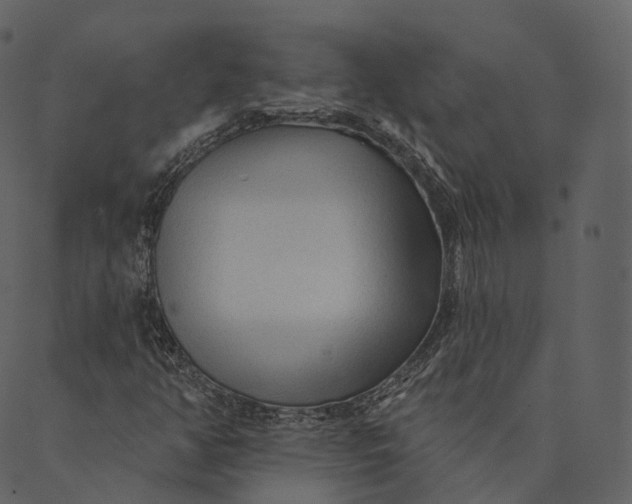 X0000089661350200707121148