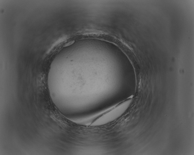 X0000089661351200707121148