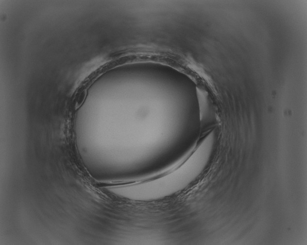 X0000089661352200707121148