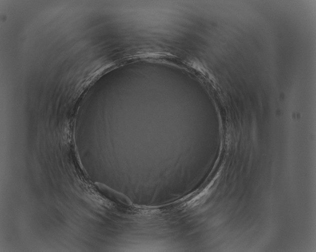 X0000089661353200707121148