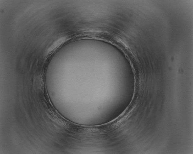 X0000089661354200707121148