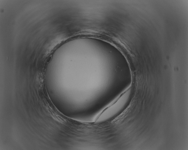 X0000089661355200707121148