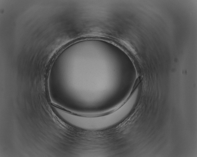 X0000089661356200707121148