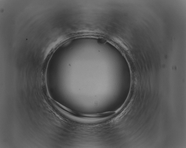 X0000089661357200707121148