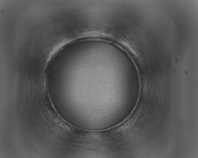 X0000089661358200707121148