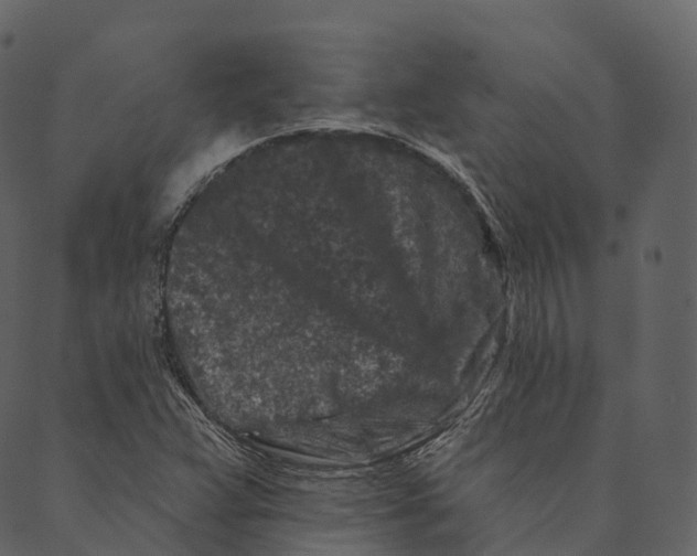 X0000089661359200707121148