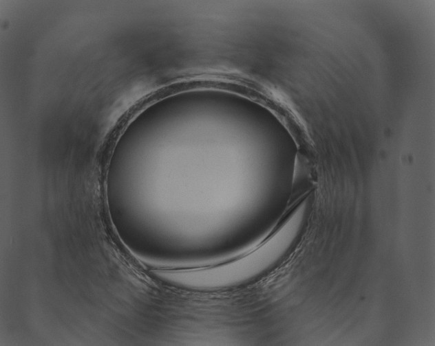 X0000089661360200707121148