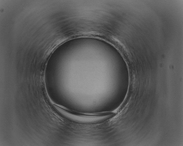 X0000089661361200707121148