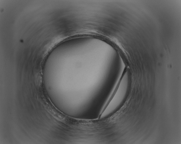 X0000089661363200707121148