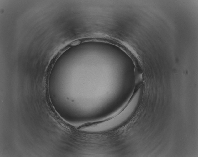 X0000089661364200707121148