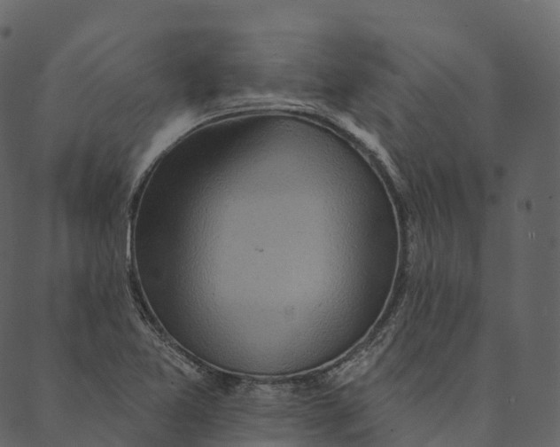 X0000089661365200707121148