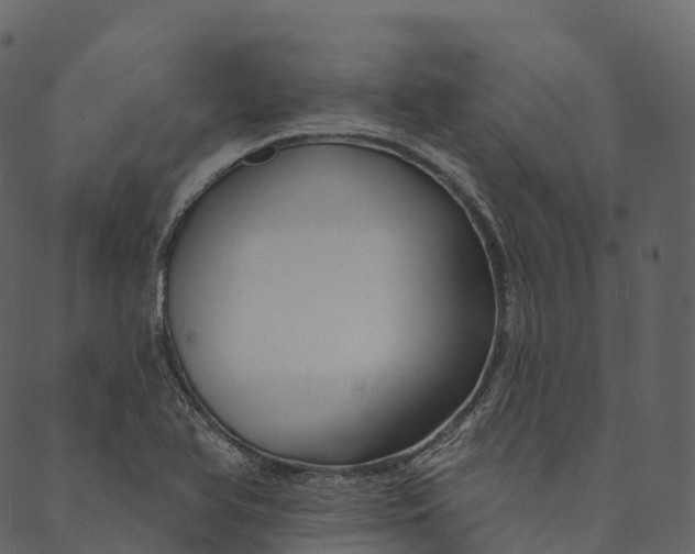 X0000089661366200707121148