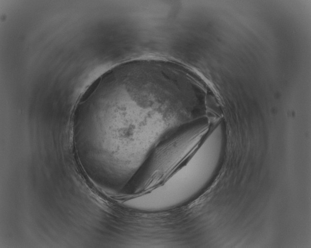 X0000089661367200707121148