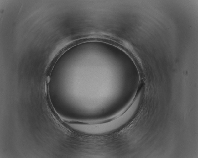 X0000089661368200707121148