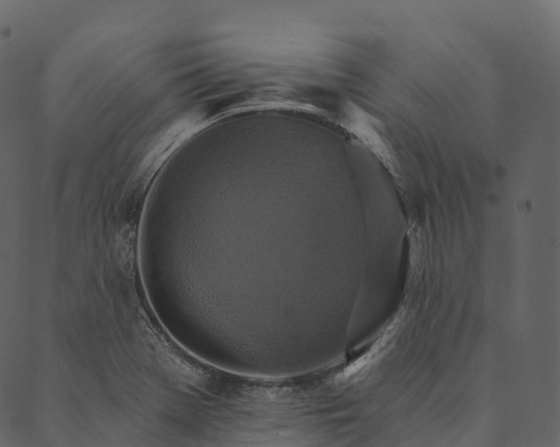 X0000089661369200707121148