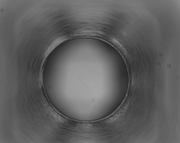 X0000089661370200707121148