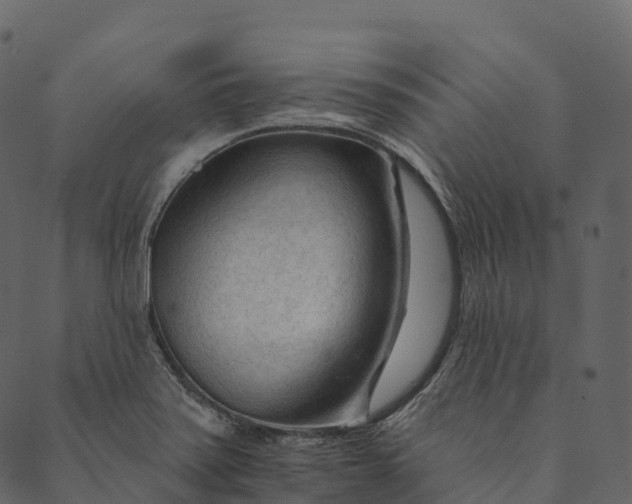 X0000089661371200707121148