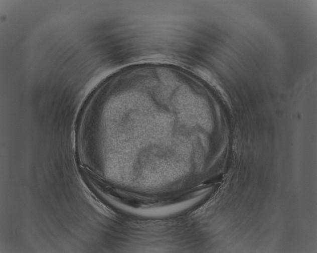 X0000089661372200707121148