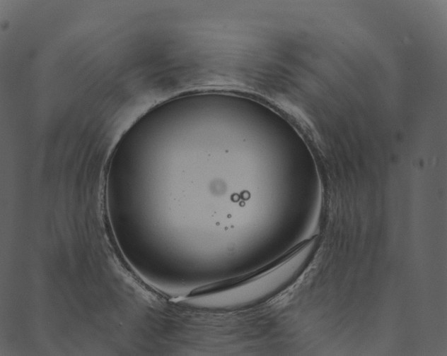 X0000089661374200707121148