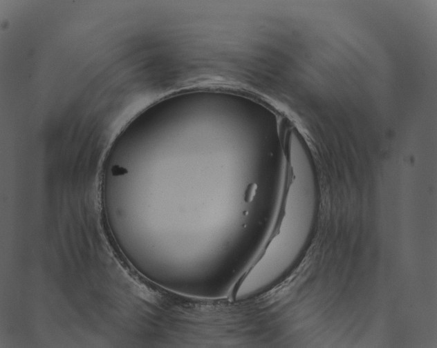 X0000089661375200707121148