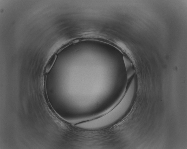 X0000089661376200707121148