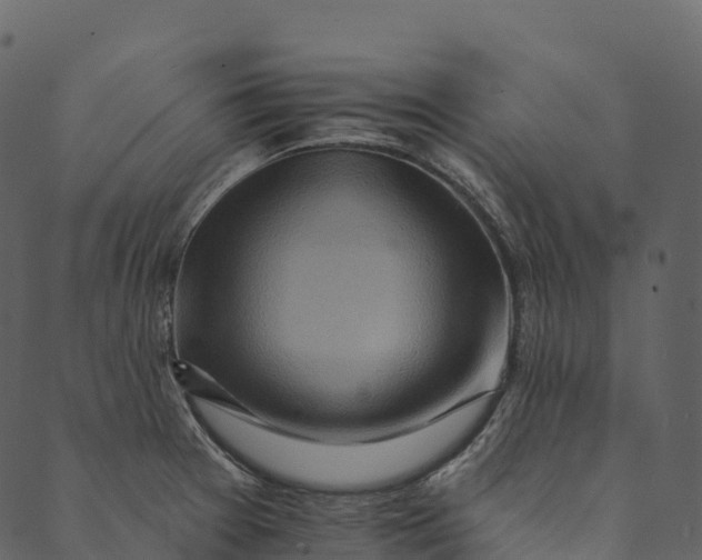 X0000089661377200707121148