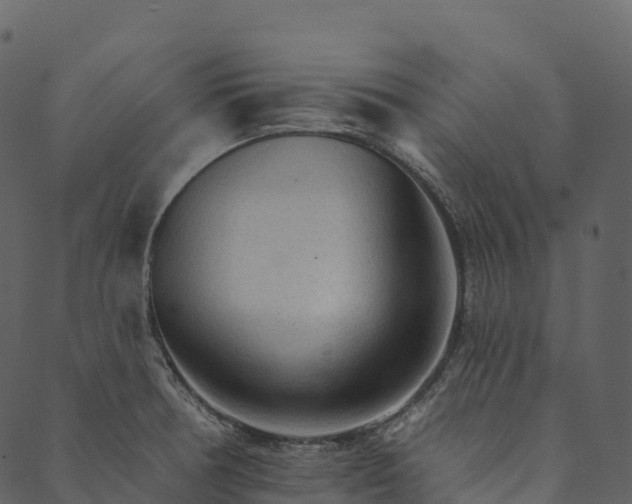 X0000089661378200707121148