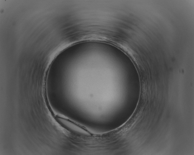 X0000089661379200707121148