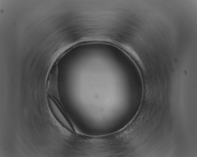 X0000089661380200707121148