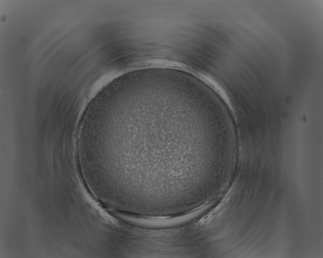 X0000089661381200707121148