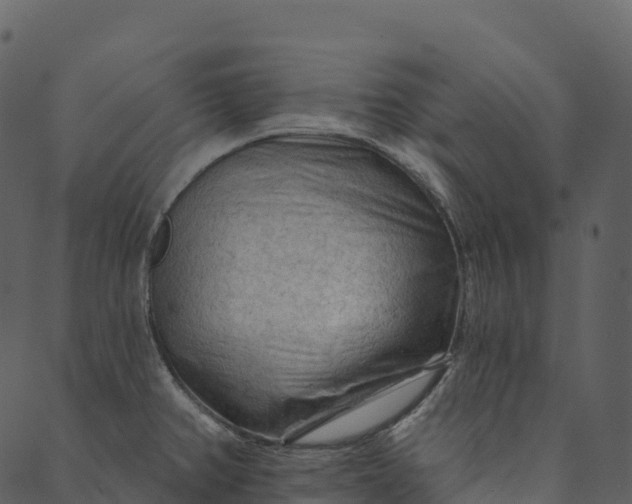 X0000089661382200707121148