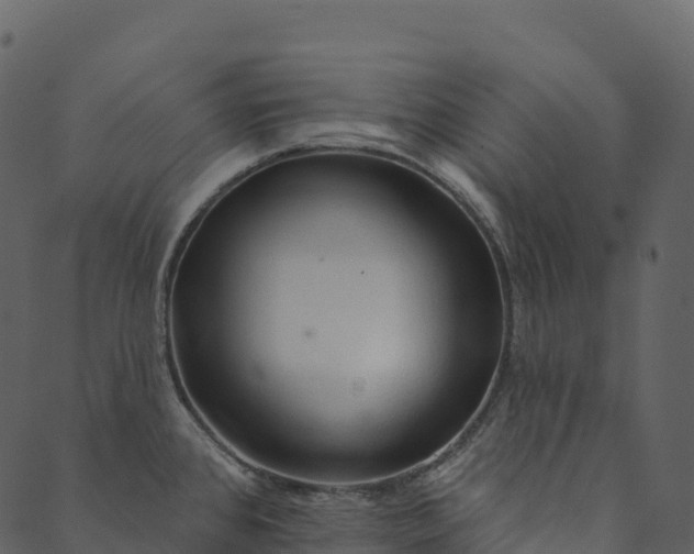 X0000089661384200707121148