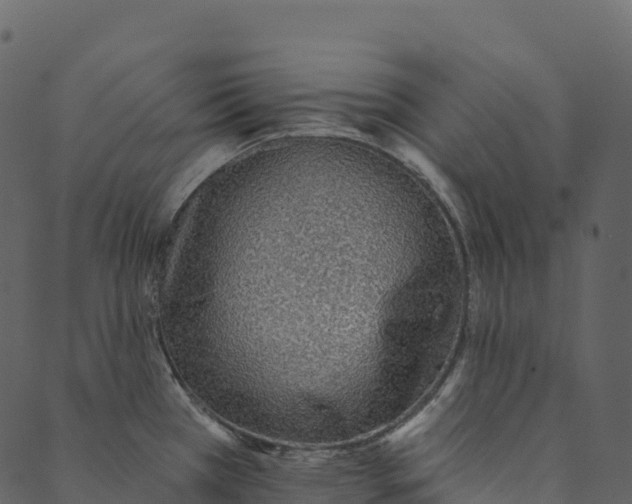 X0000089661385200707121148