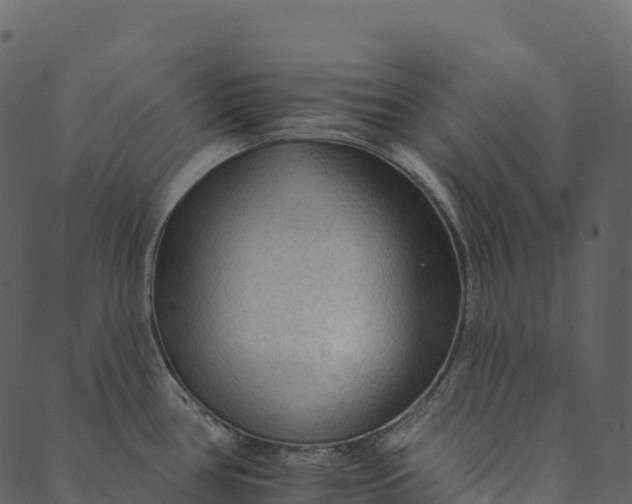 X0000089661386200707121148