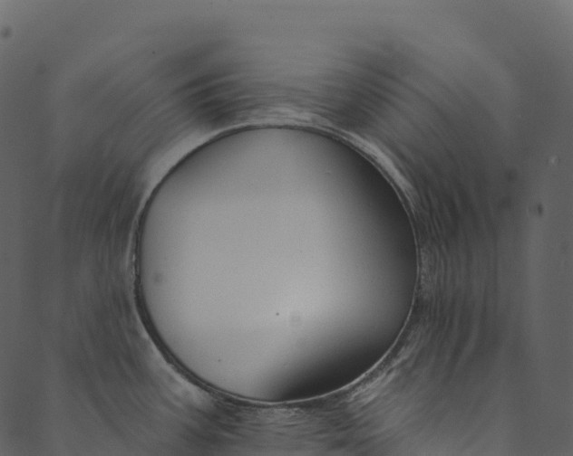 X0000089661387200707121148