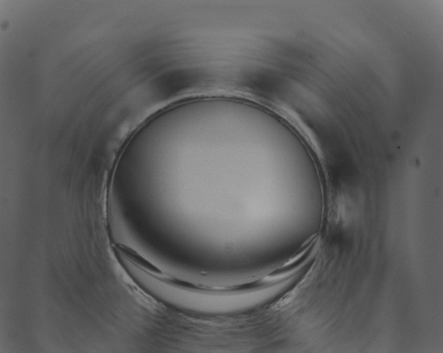 X0000089661388200707121148