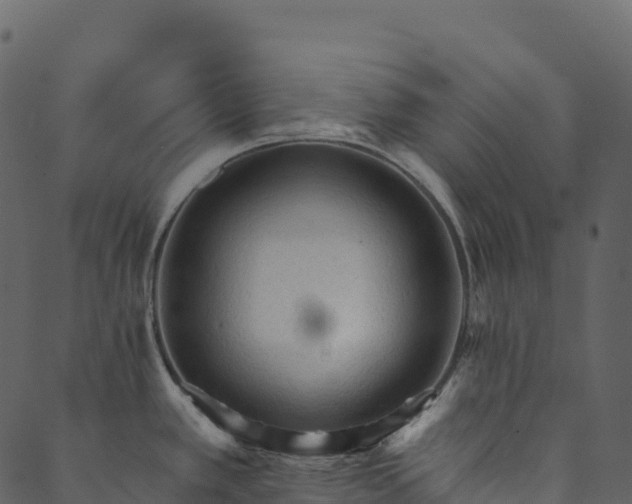 X0000089661389200707121148