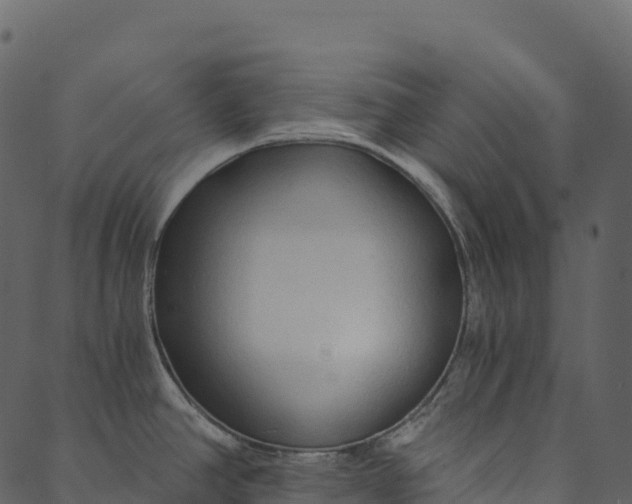 X0000089661390200707121148