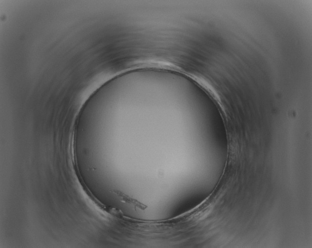 X0000089661391200707121148