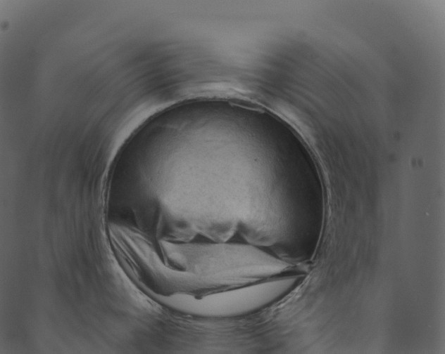 X0000089661392200707121148