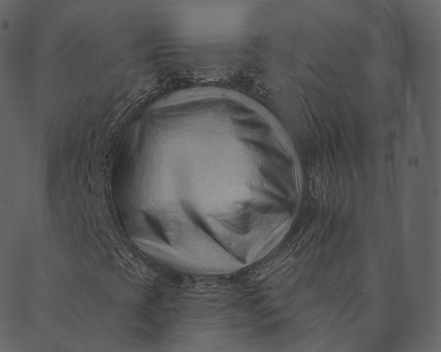 X0000089661393200707121147