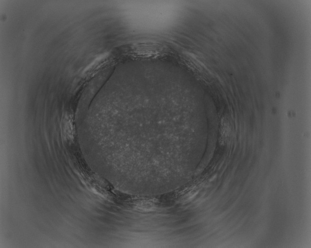 X0000089661394200707121147