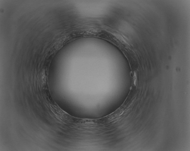 X0000089661395200707121147