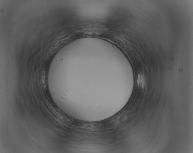 X0000089661396200707121147