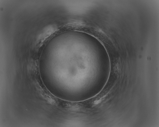 X0000089661397200707121147