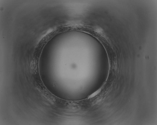 X0000089661398200707121147