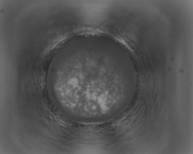 X0000089661399200707121147