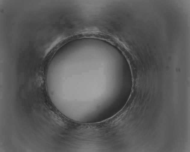 X0000089661400200707121147