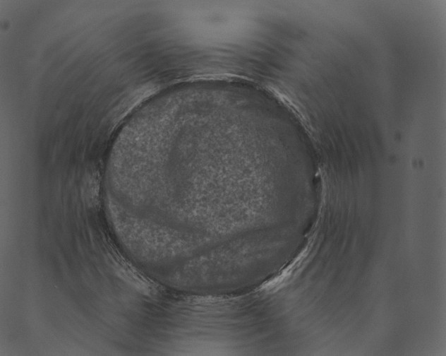 X0000089661401200707121147